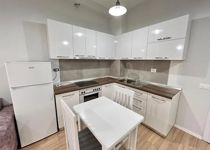 Small Cozy * 티라나